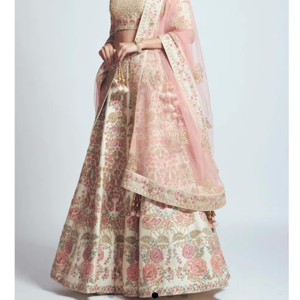 Lehenga Chania Choli indian Pakistani Bangladeshi